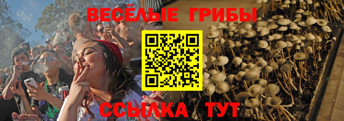 Галлюциногенные грибы MAGIC MUSHROOMS Белорецк
