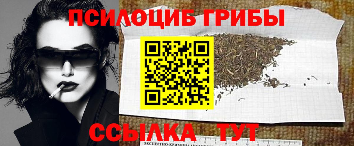 Белорецк  Псилоцибиновые грибы MAGIC MUSHROOMS  Псилоцибиновые грибы Psilocybine cubensis  Вход с VPN 